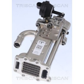 Acquista Radiatore EGR da TRISCAN online per Elantra Sedan (AD, ADA) a prezzi moderati