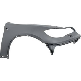 Compre Guardabarros de DIEDERICHS online para X6 (E71, E72) a precios moderados
