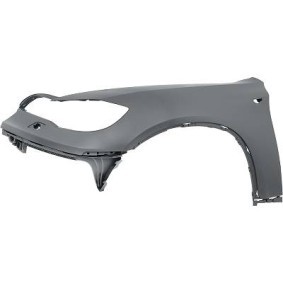 Compre Guardabarros de DIEDERICHS online para X6 (E71, E72) a precios moderados