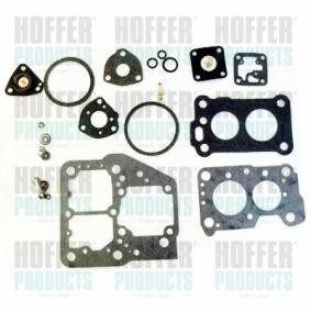Reparatursatz, Vergaser N613 MITSUBISHI von HOFFER