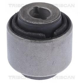 Compre Suspensão, braço oscilante da TRISCAN 8500 16884 a um preço baixo por 19,12 €