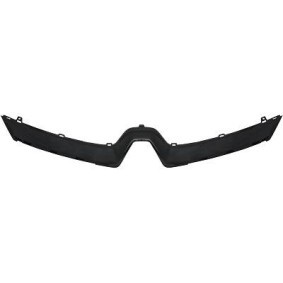 Acquista Mostrina, Griglia radiatore da DIEDERICHS 4416047 a buon mercato per soli 40,99 €