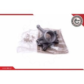 Compre Manga de eixo, suspensão da ESEN SKV 47SKV222 a um preço baixo por 99,95 €