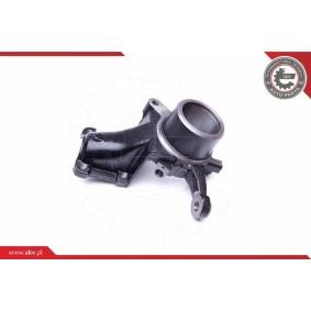 Compre Manga de eixo, suspensão da ESEN SKV 47SKV242 a um preço baixo por 179,09 €