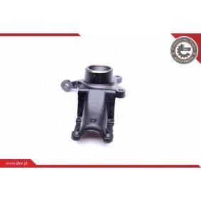 Compre Manga de eixo, suspensão da ESEN SKV 47SKV251 a um preço baixo por 184,90 €