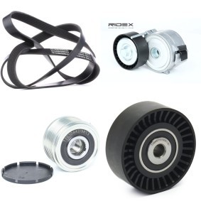Achetez des Jeu de courroies trapézoïdales à nervures RIDEX 542R0294 à prix pour 129,86 €