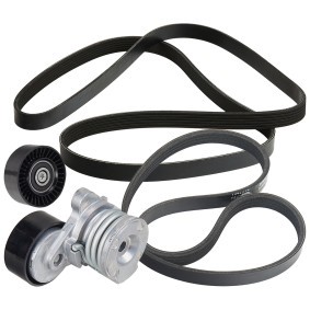 Compre Kit de correa de alternador de RIDEX online para 3 Touring (E91) a precios moderados