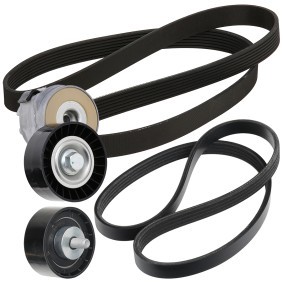 Compre Jogo de correias trapezoidais estriadas da RIDEX 542R0483 a um preço baixo por 72,24 €