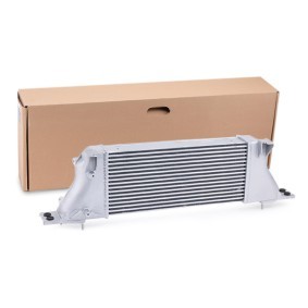 Acquista Intercooler da RIDEX 468I0098 a buon mercato per soli 301,32 €