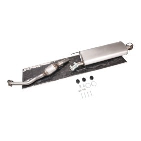 Katalysator 429C0248 von RIDEX günstig für 343,35 € online kaufen
