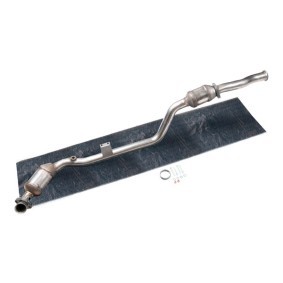 Katalysator 429C0292 von RIDEX günstig für 551,02 € online kaufen