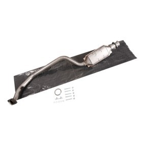 Katalysator 429C0303 von RIDEX günstig für 381,66 € online kaufen