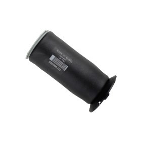 Achetez des Ressort pneumatique BILSTEIN 40-303567 à prix pour 283,50 €