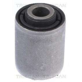Acquista Supporto braccio oscillante da TRISCAN 8500 68804 a buon mercato per soli 31,01 €