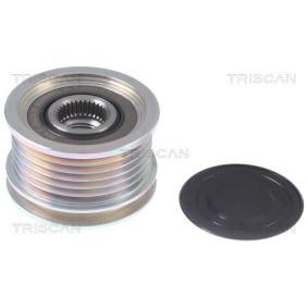 Compre Roda livre do alternador da TRISCAN 8641 384003 a um preço baixo por 60,28 €
