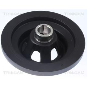 Compre Polia, cambota da TRISCAN 8643 23002 a um preço baixo por 207,37 €