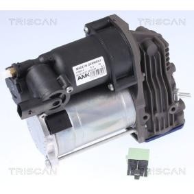 Kompressor, Luftfederung 8725 11102 von TRISCAN günstig für 900,18 € online kaufen