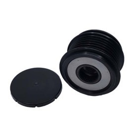Compre Roda livre do alternador da BUGIAD BSP30929 a um preço baixo por 39,47 €