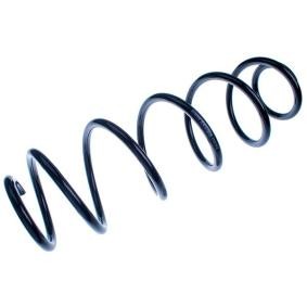 Compre Molas de DENCKERMANN online para LAGUNA III (BT0/1) a preços moderados