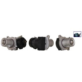 Compre Válvula EGR da ELSTOCK 73-0403 a um preço baixo por 215,95 €