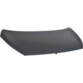 Compre Capô da DIEDERICHS 6508000 a um preço baixo por 258,05 €