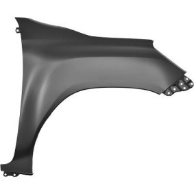 Achetez des Aile de chez DIEDERICHS en ligne pour HILUX VIII Camion plate-forme/Châssis (_N1_) à prix modérés
