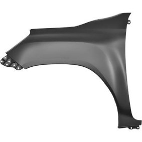 Achetez des Aile de chez DIEDERICHS en ligne pour HILUX VIII Camion plate-forme/Châssis (_N1_) à prix modérés