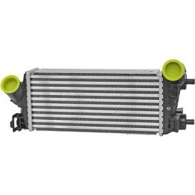 Acquista Intercooler da DIEDERICHS DCA1160 a buon mercato per soli 175,87 €