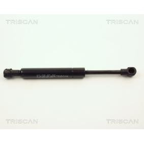 Comprar Amortiguador de maletero de KAWE 8710 11219 a bajo precio de 17,80 €