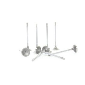 Acquista Valvola di aspirazione da ALANKO 10998013 a buon mercato per soli 8,25 €