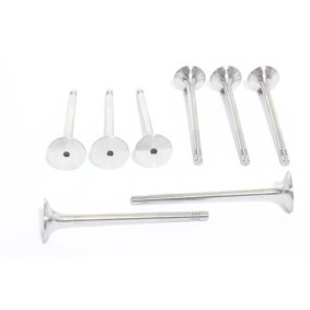 Acquista Valvola di scarico da ALANKO 10998016 a buon mercato per soli 6,36 €