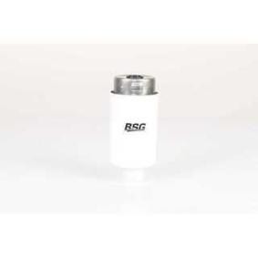 Compre Filtro de combustível da BSG BSG 15-130-009 a um preço baixo por 43,37 €