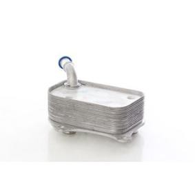 Acquista Radiatore olio motore da BSG BSG 15-506-021 a buon mercato per soli 97,21 €