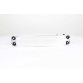 Acquista Radiatore olio motore da BSG BSG 15-506-024 a buon mercato per soli 128,81 €