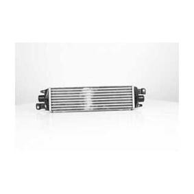 Kjøp Intercooler av BSG BSG 25-535-001 til den lave prisen 1517,76 NOK