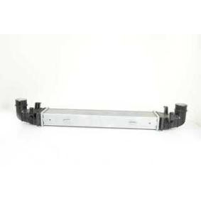 Compre Intercooler da BSG BSG 60-535-003 a um preço baixo por 140,61 €