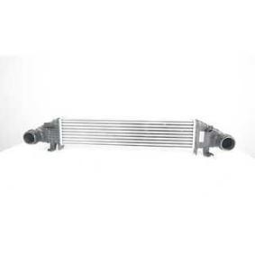 Compre Intercooler da BSG BSG 60-535-008 a um preço baixo por 141,17 €