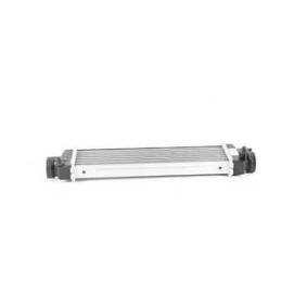 Compre Intercooler da BSG BSG 60-535-010 a um preço baixo por 176,03 €