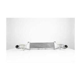 Compre Intercooler da BSG BSG 60-535-017 a um preço baixo por 154,52 €