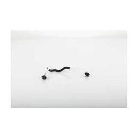 Acquista Condotto carburante da BSG BSG 60-725-004 a buon mercato per soli 35,93 €