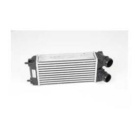Compre Intercooler da BSG BSG 70-535-004 a um preço baixo por 115,72 €