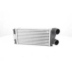 Compre Intercooler da BSG BSG 70-535-005 a um preço baixo por 116,26 €