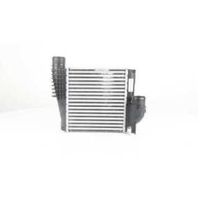 Compre Intercooler da BSG BSG 70-535-008 a um preço baixo por 121,68 €