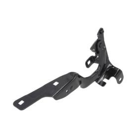 Comprar Bisagra, capó del motor de BLIC 6802-00-6009451P a bajo precio de 37,90 €