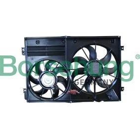 Compre Ventilador de radiador da Borsehung B19251 a um preço baixo por 281,68 €