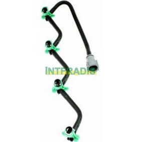 Acquista Tubo carburante da INTFRADIS online per Fiesta Mk6 Van a prezzi moderati