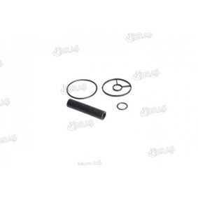 Achetez des Joint de support de filtre à huile de chez IBRAS en ligne pour Kuga Mk1 SUV à prix modérés