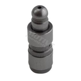 Achetez des Poussoir hydraulique de chez motive en ligne pour StreetKA Cabriolet (RL2) à prix modérés