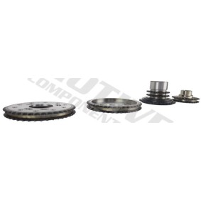 Acquista Kit catena distribuzione da motive TCK224 a buon mercato per soli 243,90 €