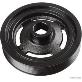 Acquista Puleggia cinghia albero a gomiti da HERTH+BUSS JAKOPARTS J1091019 a buon mercato per soli 121,40 €